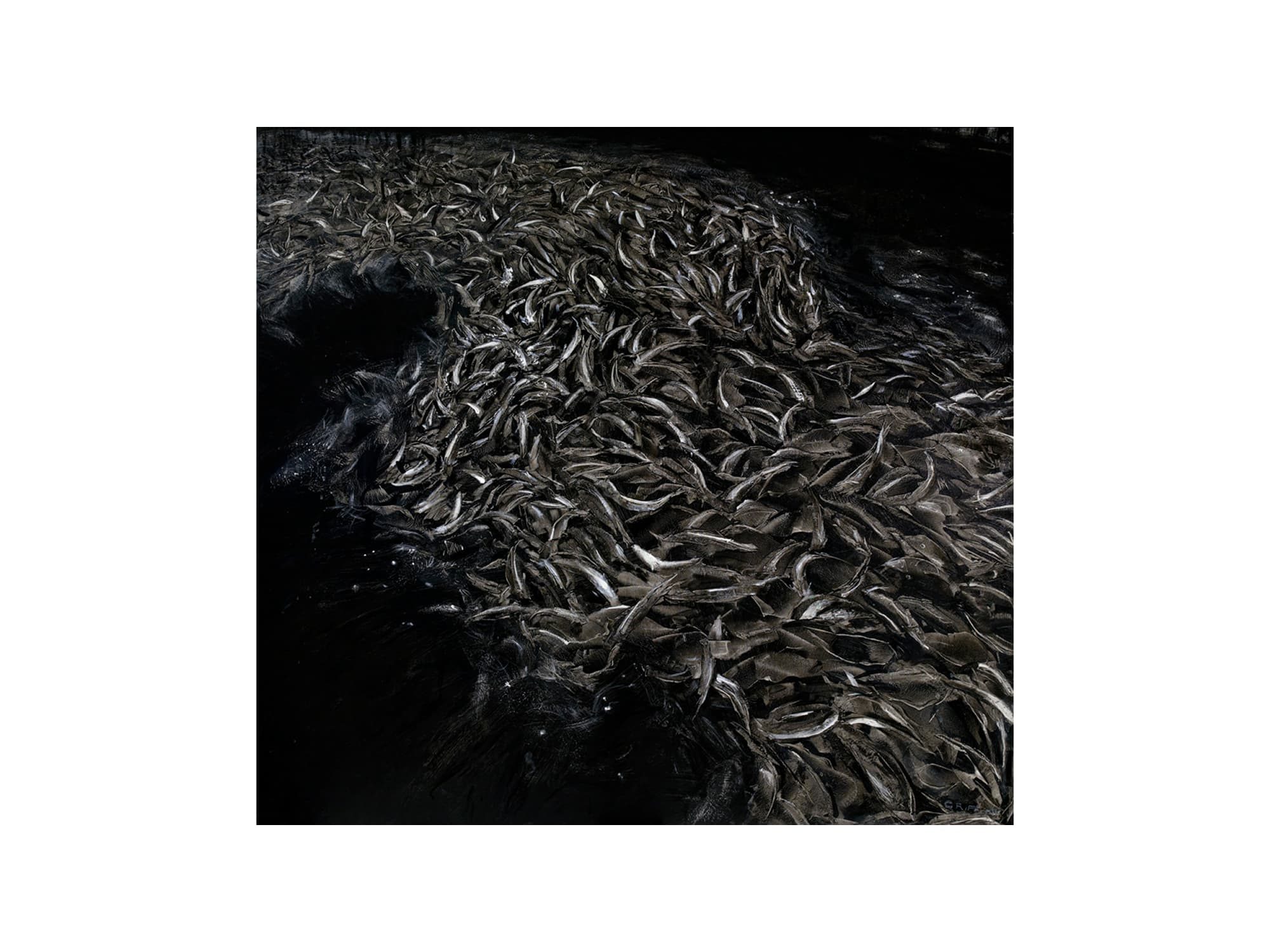 Fry, c. 2003. By David Griffin.