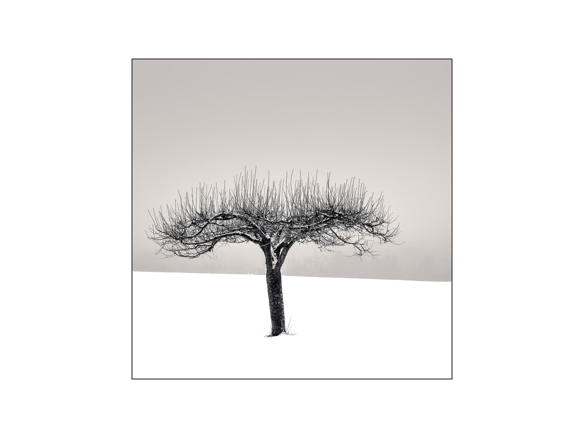 Reaching [Hockley Valley, Ontario], 2017, by Peter Dušek